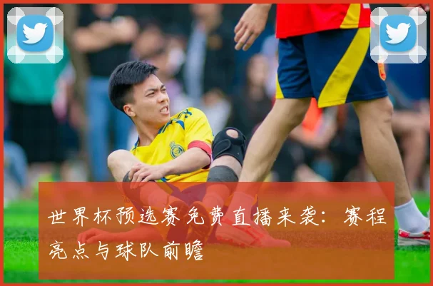 世界杯预选赛免费直播来袭：赛程亮点与球队前瞻
