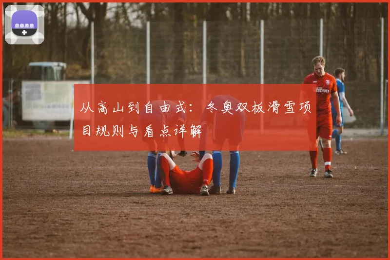 从高山到自由式：冬奥双板滑雪项目规则与看点详解