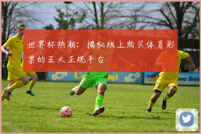 世界杯热潮：揭秘线上购买体育彩票的五大正规平台