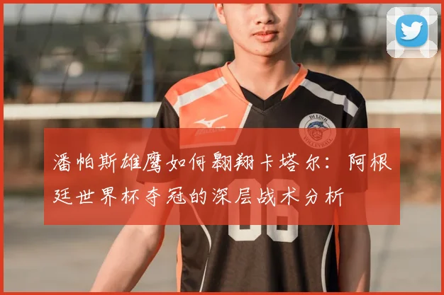 潘帕斯雄鹰如何翱翔卡塔尔：阿根廷世界杯夺冠的深层战术分析