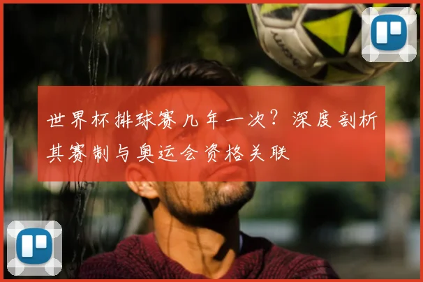 世界杯排球赛几年一次？深度剖析其赛制与奥运会资格关联