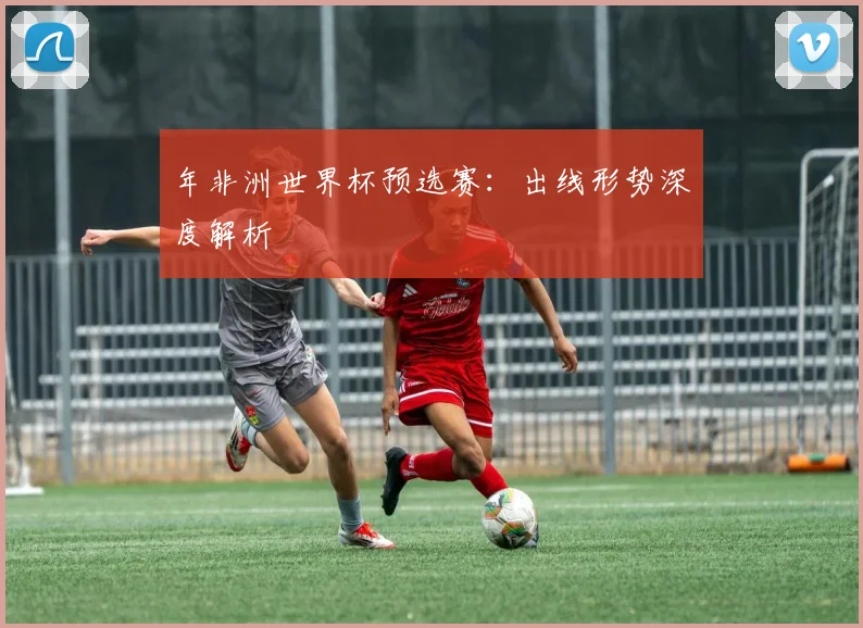 年非洲世界杯预选赛：出线形势深度解析
